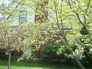 4th image of 228-230 Elwood Ave E