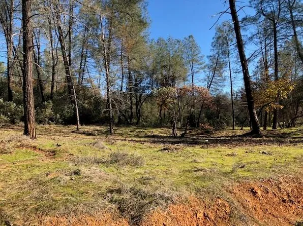 Shasta Dam Blvd, Shasta Lake, CA 96019