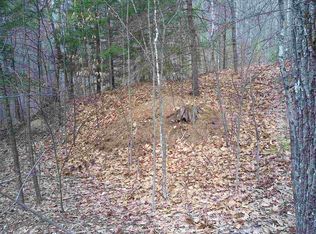 LOT 28 One Avery Hill Rd, Alton Bay, NH 03810