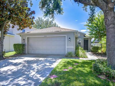 19555 Timberbluff Dr, Land O Lakes, FL, 34638