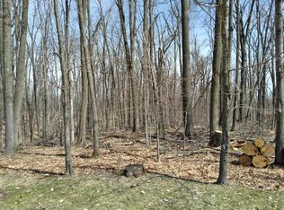 LOT 65 Louise Dr, Elmira, MI 49730