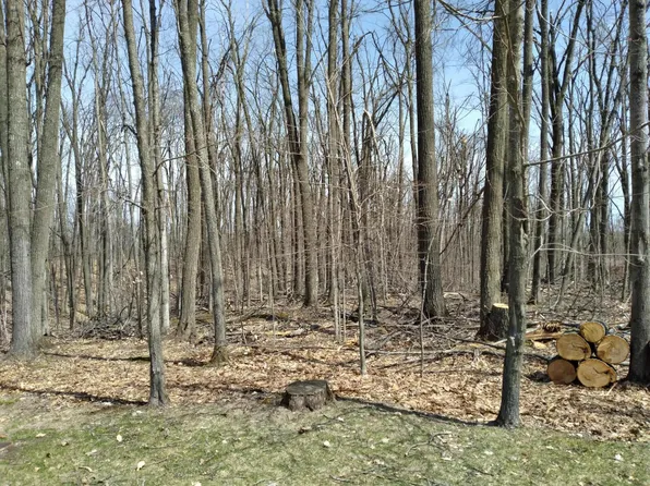 LOT 65 Louise Dr, Elmira, MI 49730