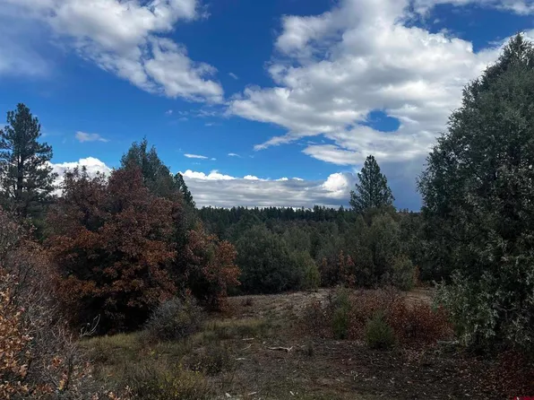 1146 Harvard Avenue, Pagosa Springs, CO 81147
