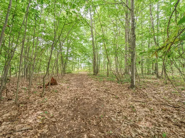V/l 5 8 Mile Rd, Evart, MI 49631