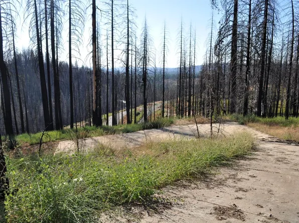 5005 Rollingwood Dr, Grizzly Flats, CA 95636