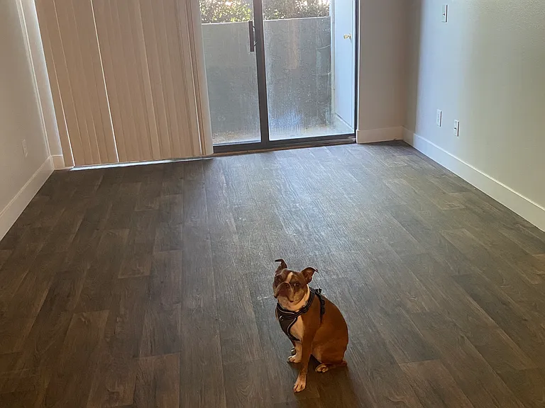 598 W Murray Blvd — Photo 3
