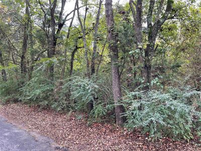 County Road 1436, Sulphur Springs, TX, 75482