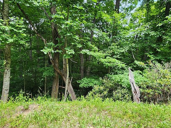 5th image of 00 Ravens Roost Ridge