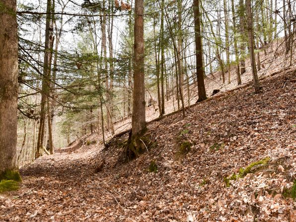 1897 Laurel Creek Rd, Vanceburg, KY 41179