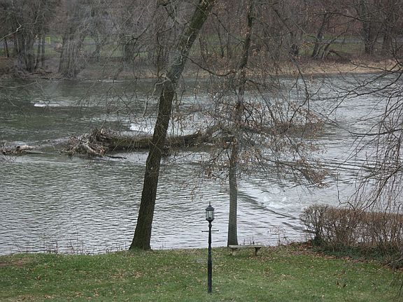 Back yard creek access / view