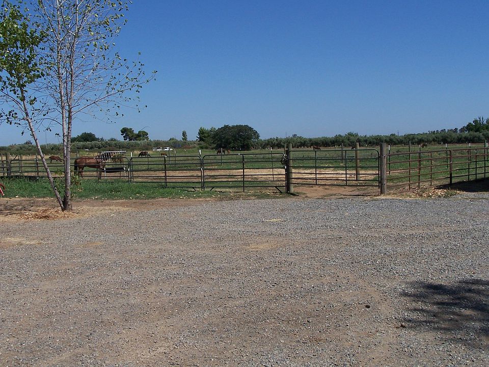 Horse Property!
