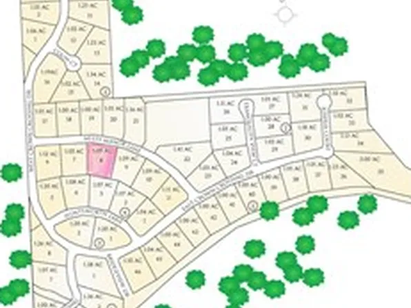 26219 Misty Manor Ln, Montgomery, TX 77316