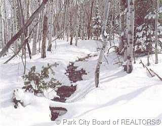 1st image of 17 White Pine Canyon Rd #12