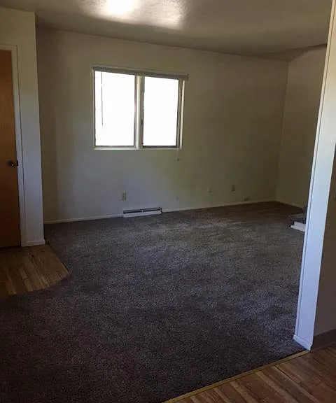 865 Evans Ave — Photo 4