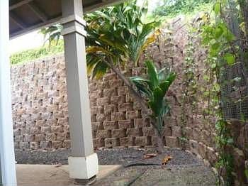 2nd image of 51 Kumulaau Ohia Loop