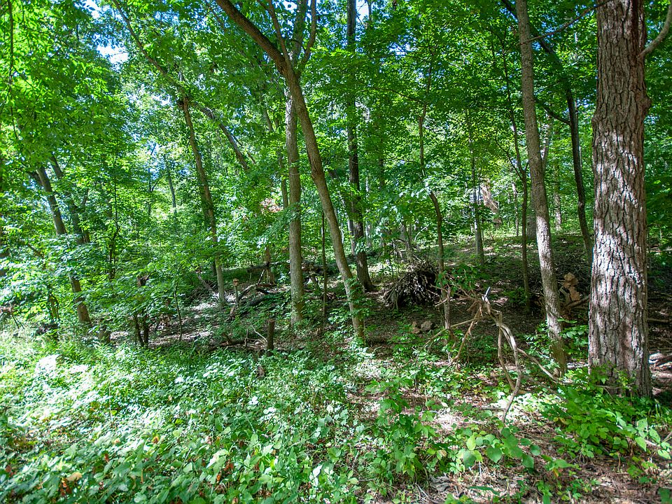 2nd image of Rollins Rd