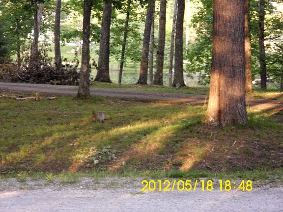 5th image of O O'O Camp Dr