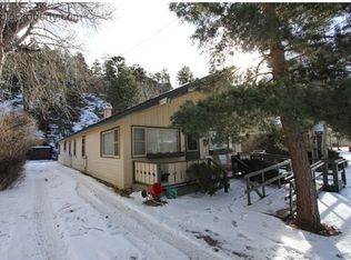 238 E Riverside Dr APT A, Estes Park, CO 80517