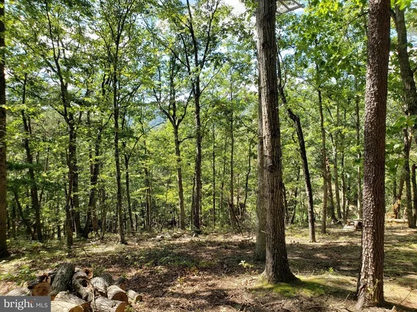 Pickle Kline Rd, Paw Paw, WV 25434