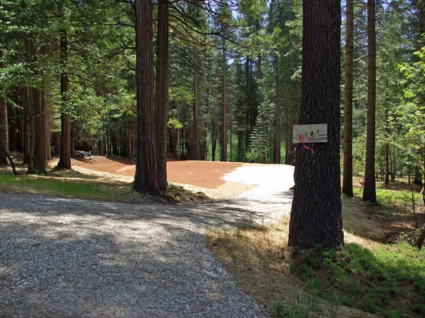 3181 Murphys Dr, Arnold, CA 95223