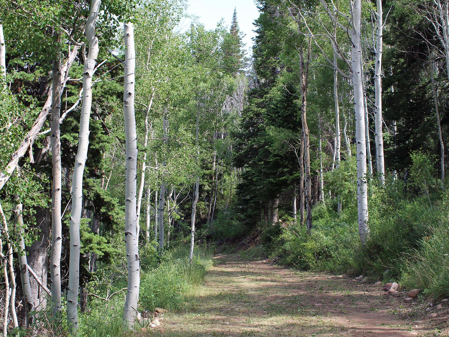 33 Tabby Hts W, Tabiona, UT 84072 MLS 1898688 Zillow