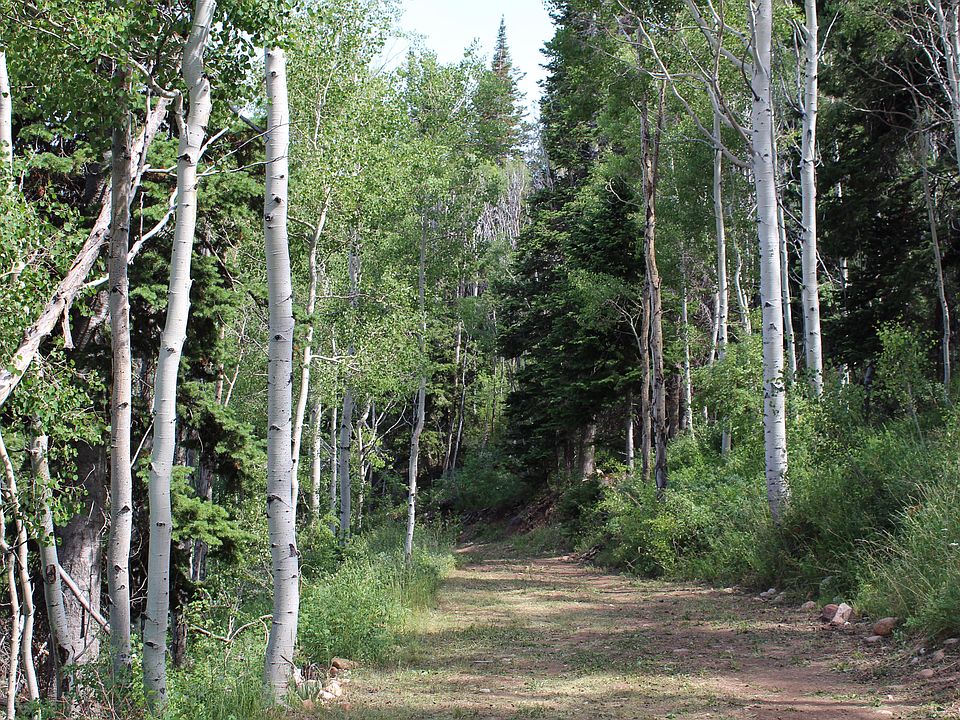 33 Tabby Hts W, Tabiona, UT 84072 MLS 1898688 Zillow