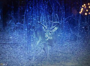 0 Arbor Chapel Rd, Warm Springs, GA 31830