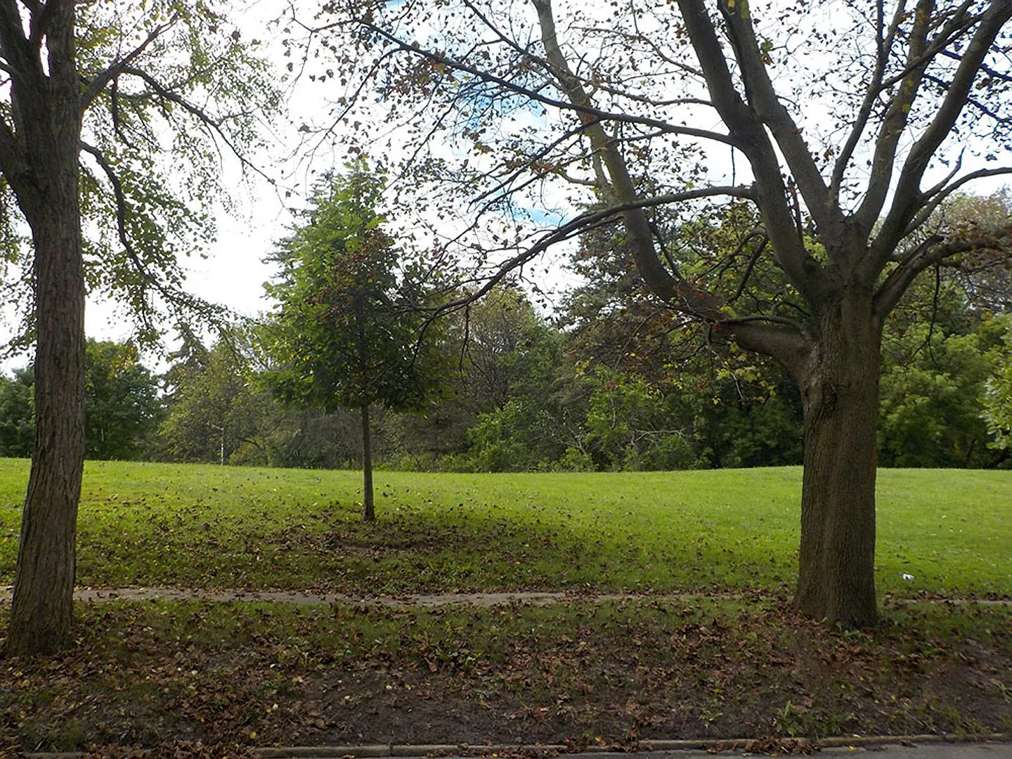 507 S Beech - Available 8/1/27 - Bright, Spacious Single Family Home Across From Thornden Park — Photo 4