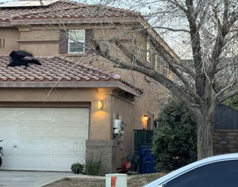 Property Side View
