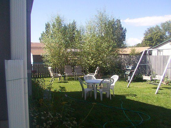 back yard