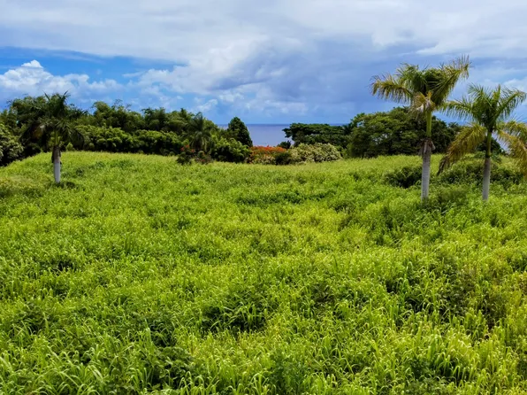 31-154 Hawaii Belt Rd Lot 15, Hakalau, HI 96710