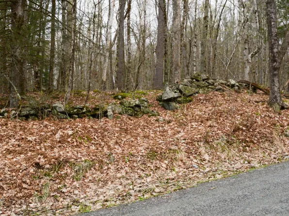 0 E Otis Rd, Otis, MA 01253