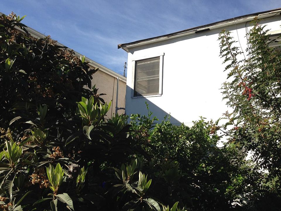 looking up at the apartment from the garden