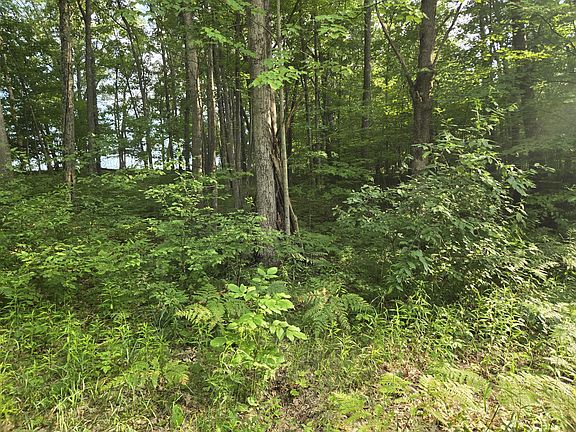 3rd image of 8207 N Hunters Ridge Dr