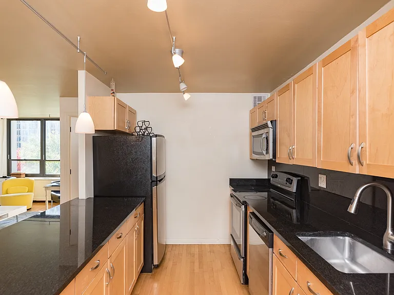 222 E Pearson St #706 — Photo 9