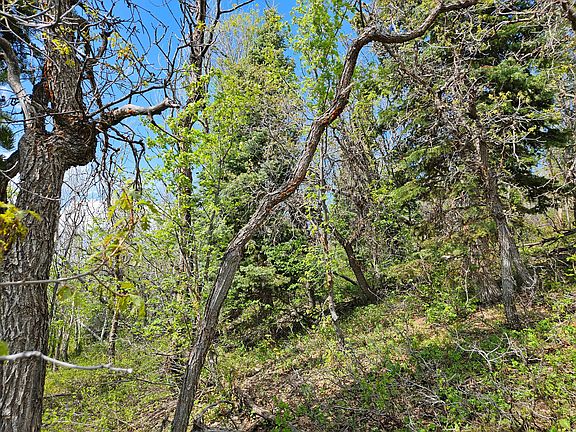 3rd image of 1246 E North Fork Rd S