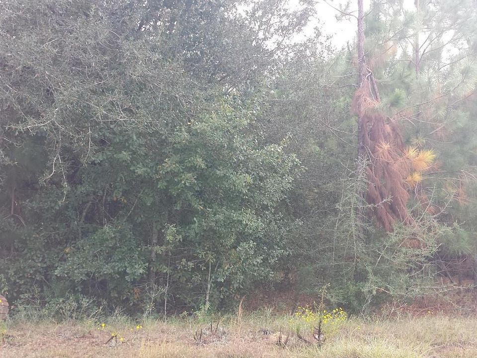 2nd image of 9236 Beemer Rd