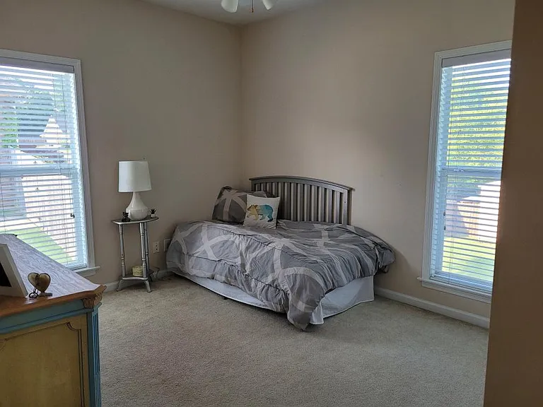 325 Mountain Ridge Rd — Photo 4