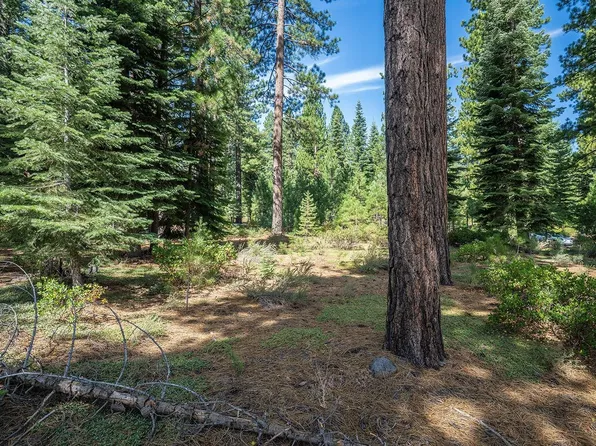 801 Joseph Gray, Truckee, CA 96161