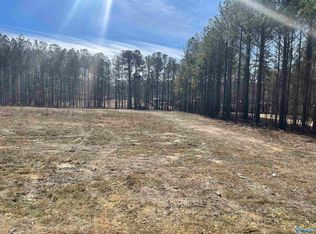 89 Golden Pond Rd, Ashville, AL 35953