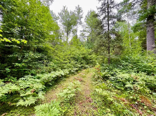 Off Fire Lane Rd, Conover, WI 54519