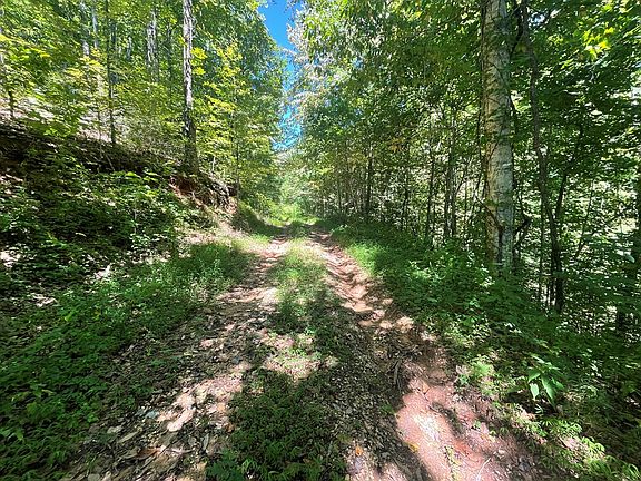 4th image of 1110 Pigeon Creek Trl