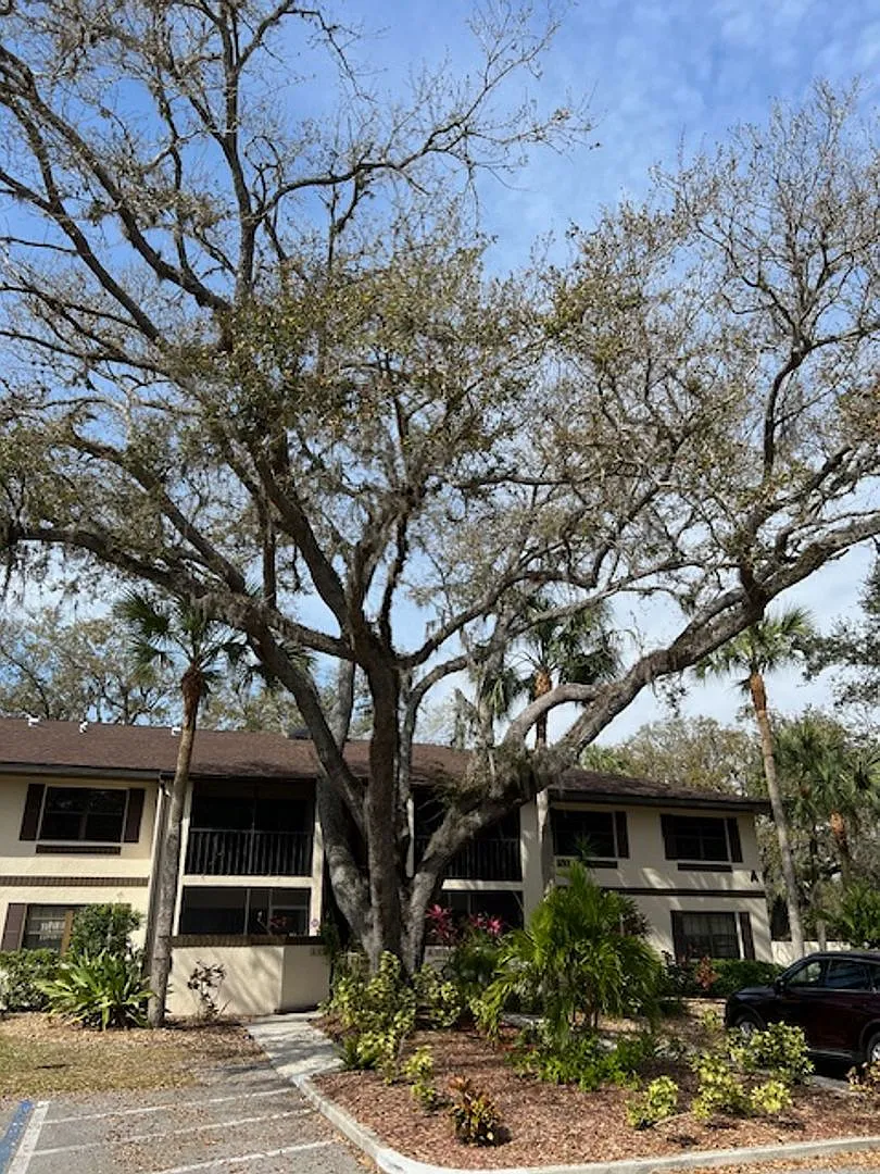 Oaks III Condominium Annual Rental Unfurnished — Photo 1