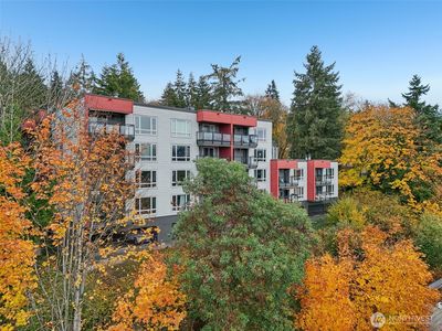 145 105th Avenue SE #43, Bellevue, WA, 98004