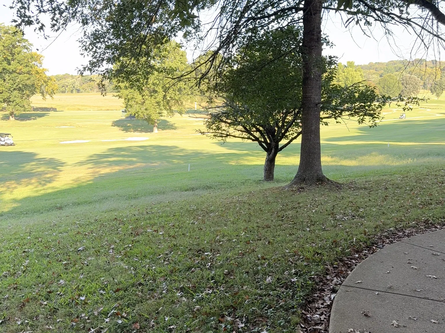 4 bed, 5.0 bath, 5172 sqft, $3,500 — Photo 3
