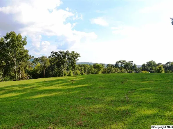 812 McKee St, Guntersville, AL 35976