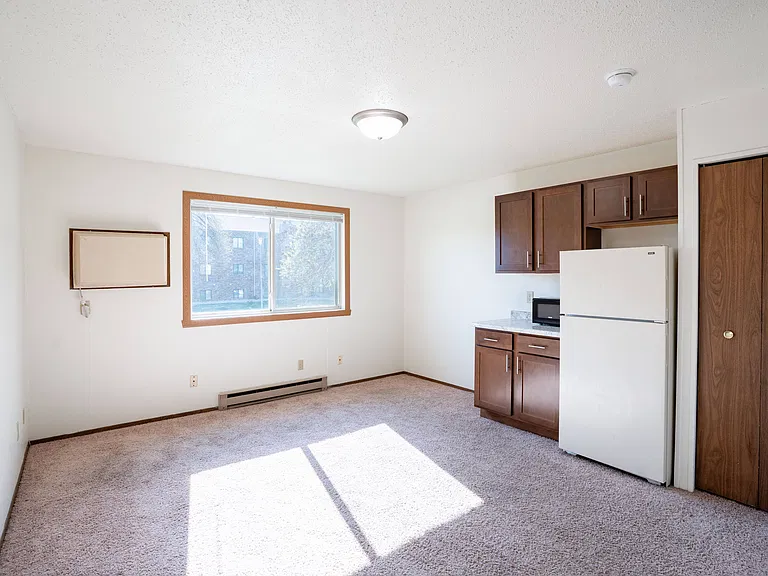 Fargo, ND Pacific Park I Apartments | 01A | Living