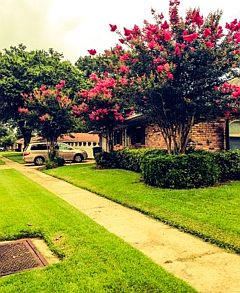 Side of House
