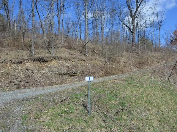 1A Hemlock Hill Rd, Towanda, PA 18848