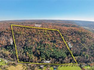 0 County Road 13 Rd, Van Etten, NY 14889
